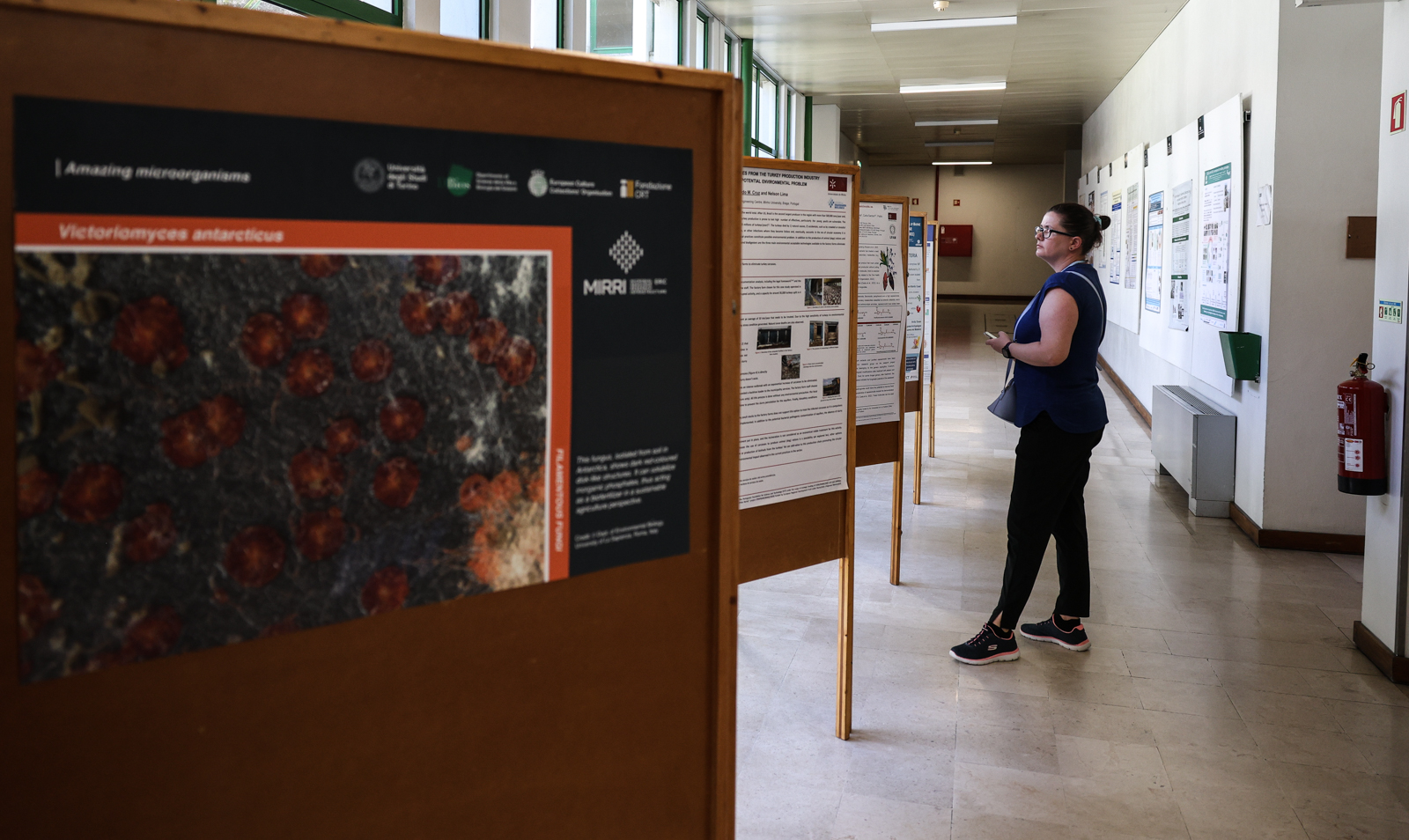 Thumbnail da galeria 15ª Conferência Internacional de Coleções de Culturas